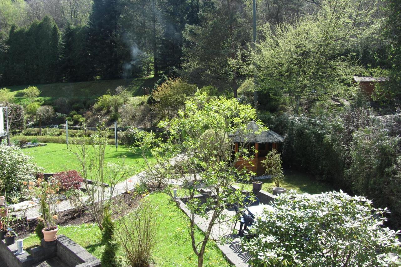 Pension Zum Rothaarsteig Netphen Exterior foto